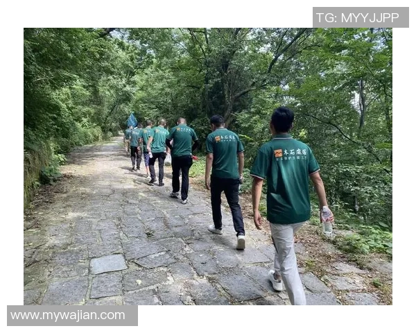 西安攀岩队奋勇拼搏的故事与荣耀之路探秘